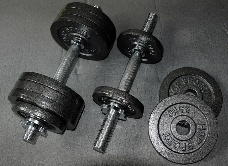 Haltères réglables 2 × 15 kg avec disques, Bon état