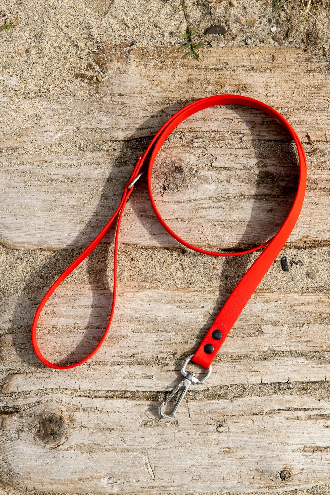 Laisse et collier rouges