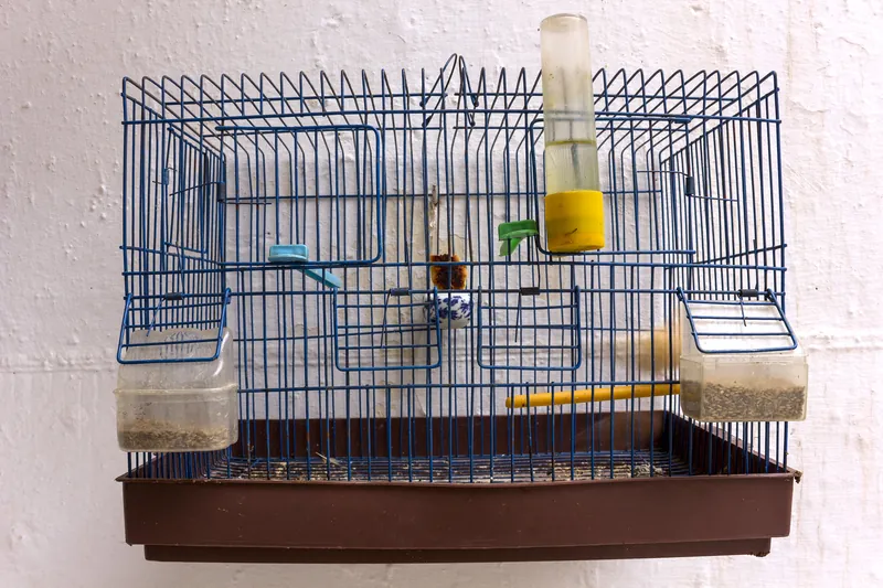 Grande cage pour perruches, Very good