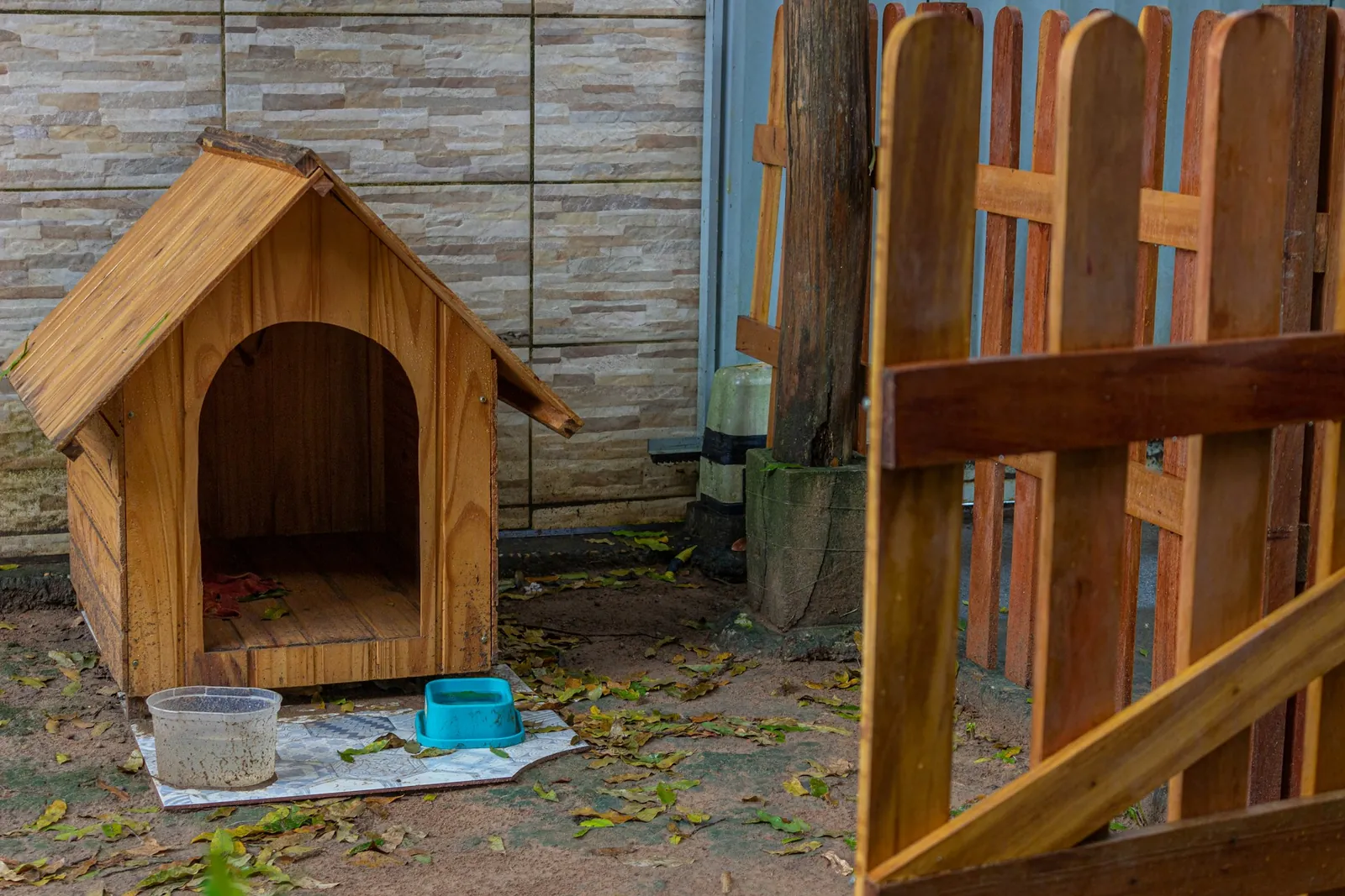 Niche en bois pour chien moyen