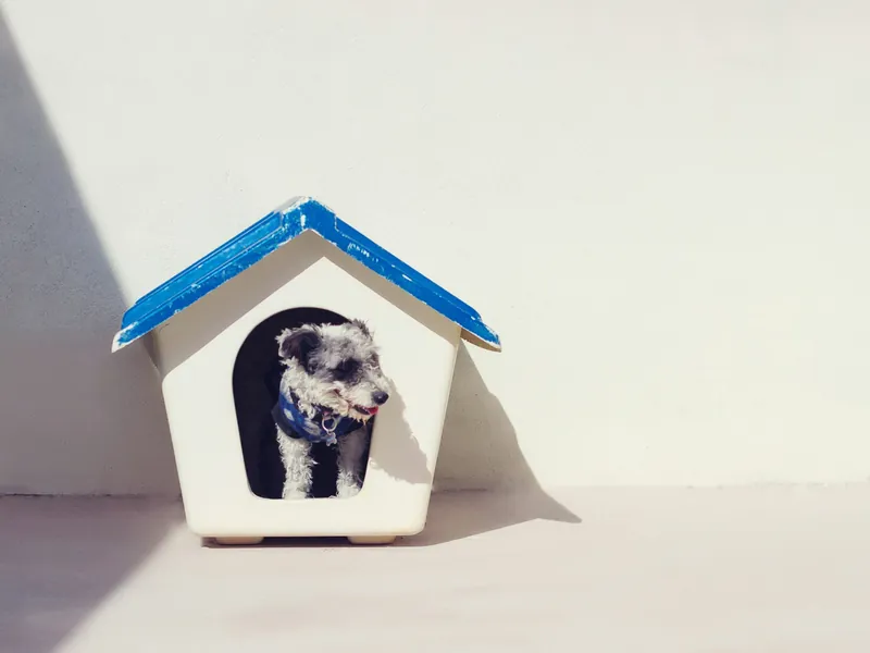 Niche en plastique pour petit chien, حالة جيدة جدا