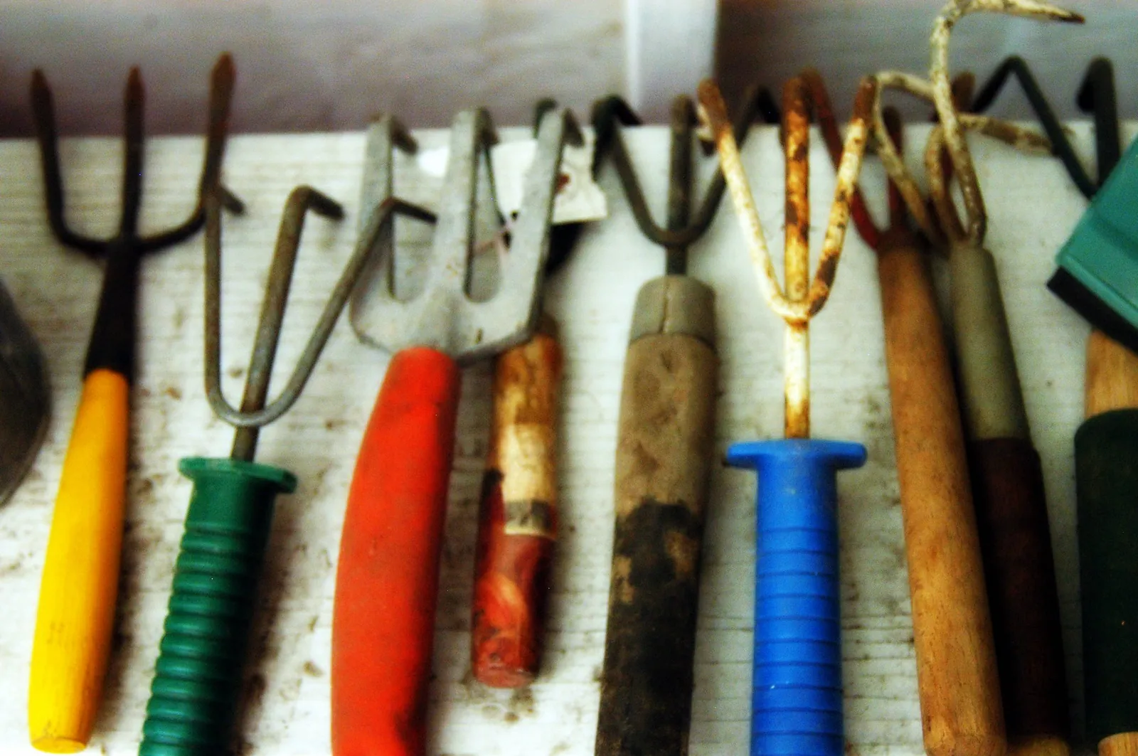 Petits outils de jardin, lot de six
