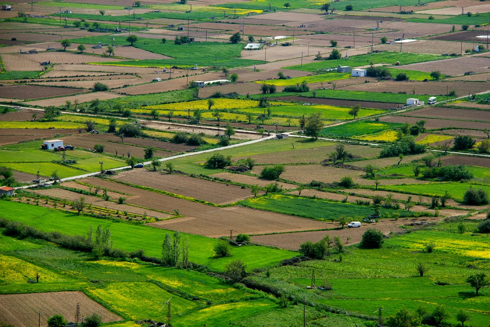 Terrain agricole de 2 ha avec puits