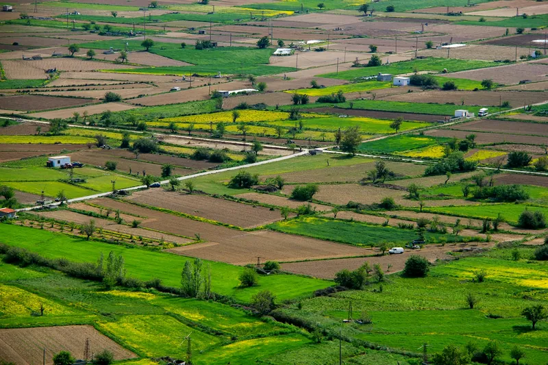 Terrain agricole de 2 ha avec puits